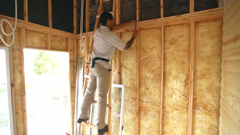 Best Pipe and Duct Insulation  in Chrisman, IL